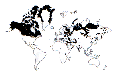 Zonas onde habita o lobo!